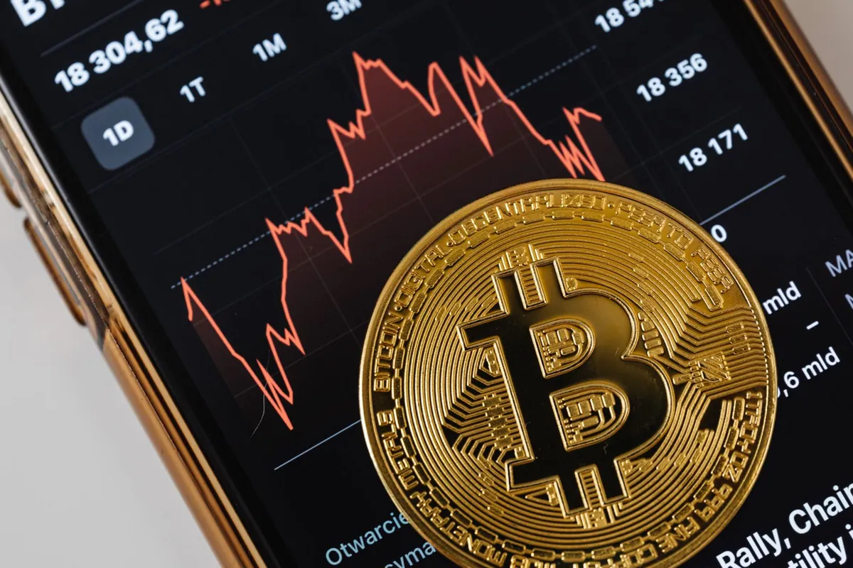 Algorithmic charts balancing assets, representing AI-driven portfolio optimization and allocation