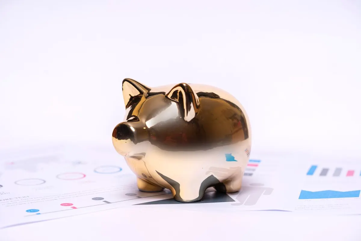 Sparschwein und Münzen neben Finanzunterlagen, Tagesgeld und Festgeld in Deutschland